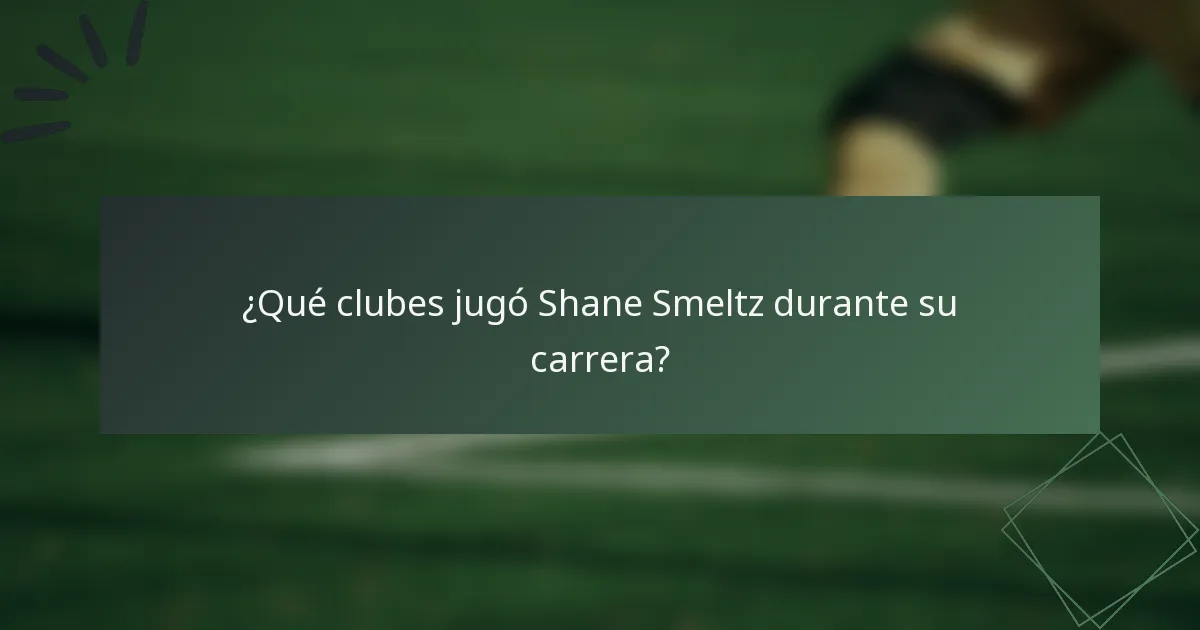 ¿Qué clubes jugó Shane Smeltz durante su carrera?